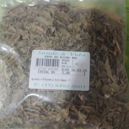 Erva do bicho por Saúde e Vida