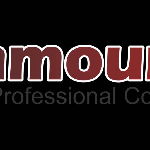 Criação de logotipo por Frandesigner