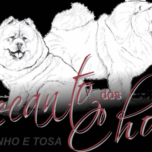 Criação de logotipo por Frandesigner