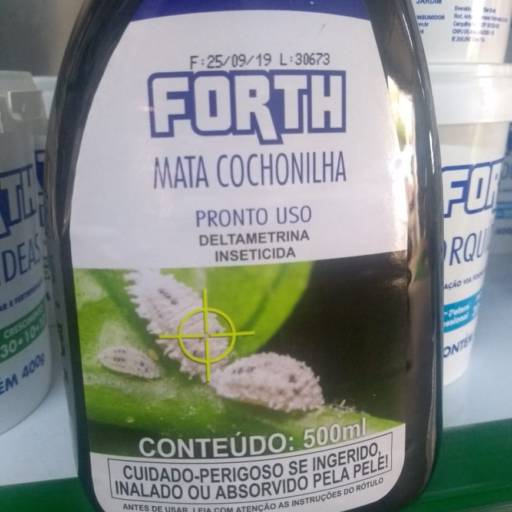 Comprar o produto de Mata Cochonilha  em A Classificar pela empresa Botucatu Garden em Botucatu, SP por Solutudo