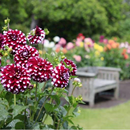 Jardinagem em Bauru por Mais Verde Jardins