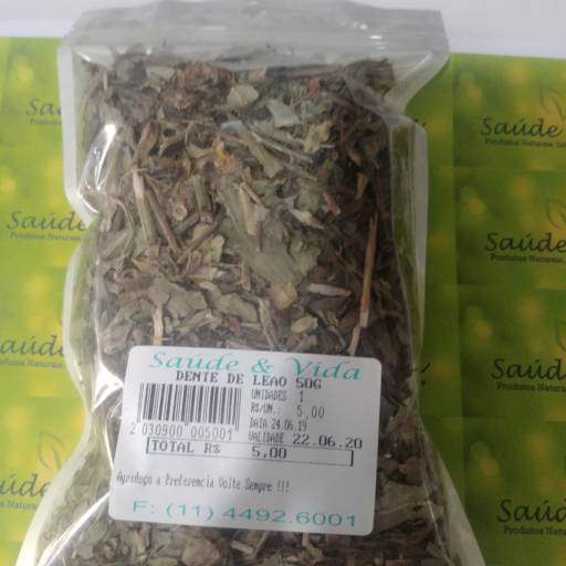 Dente de leão por Saúde e Vida