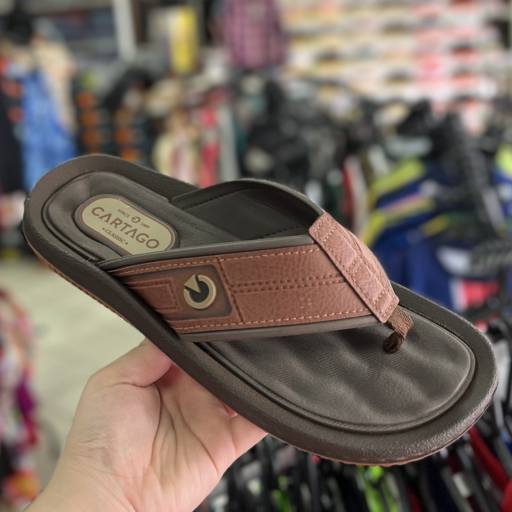 Chinelo adulto Cartago em Uberlândia, MG por Lojas Dom Flavittos