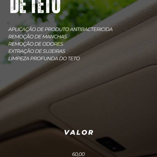 Higienização do Teto em Lençóis Paulista – Limpeza Segura e Eficiente por Purgano stetic car