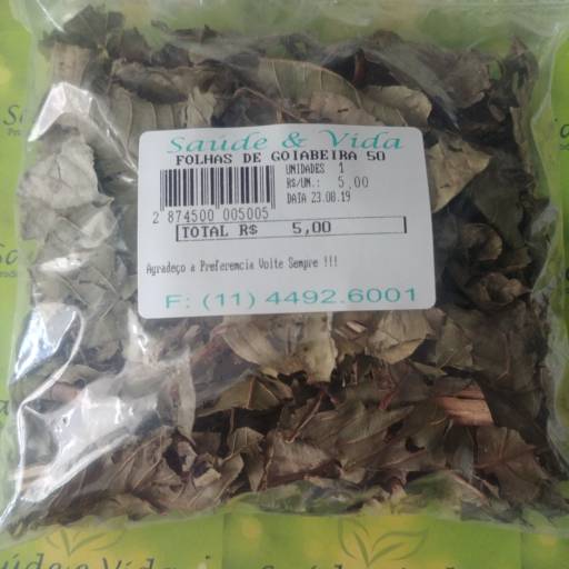 Folhas de goiabeira por Saúde e Vida