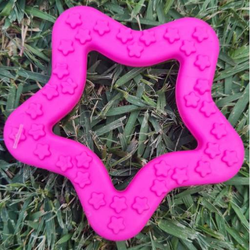 Mordedor Estrela Rosa em Jundiaí, SP por Bella's boutique Pet