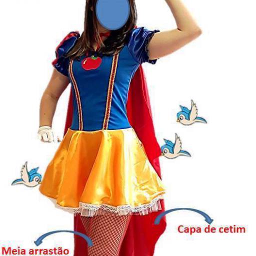 2859 - Princesa das neves adulto (40 a 46) em Tietê, SP por Fantasia & Folia