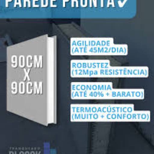 Especialista em Blocok: Paredes Prontas em Ninho Verde II