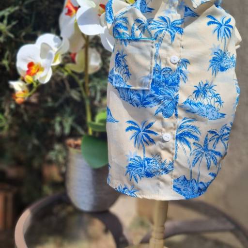 Camisa  em Jundiaí, SP por Bella's boutique Pet