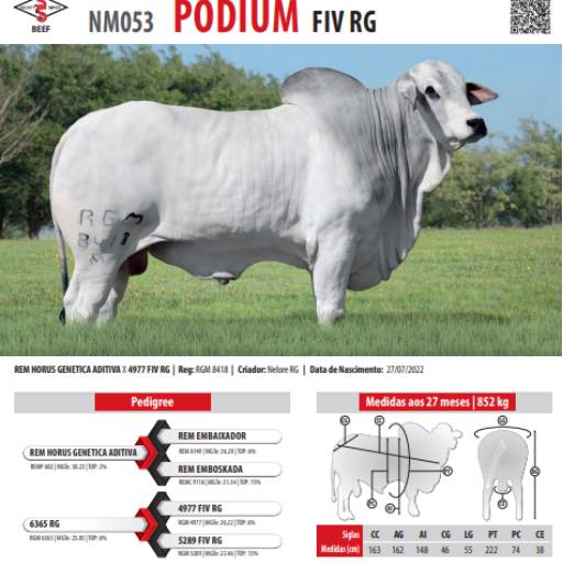 Touro Nelore Podium FIV RG (NM053)