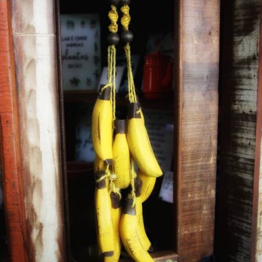 Cachos de Bananas em Madeira