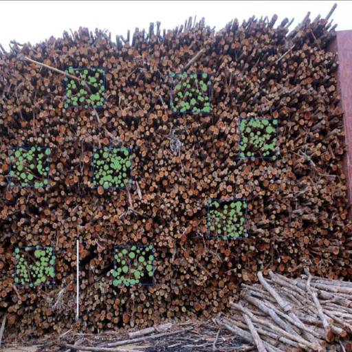 Melhoria em Eficiência de Processos Logísticos em Botucatu, SP por Spectrum Inteligência Agro Florestal