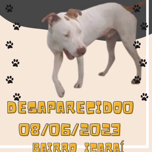 Amor em Movimento  com Drogaria Rede Veredas  em Divinópolis, MG por DROGARIA REDE VEREDAS - FARMÁCIA EM DIVINÓPOLIS