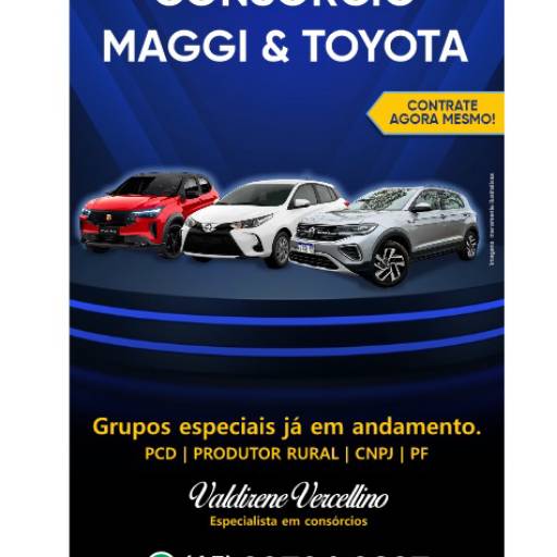 Valdirene Vercellino – Especialista em Consórcios Boituva