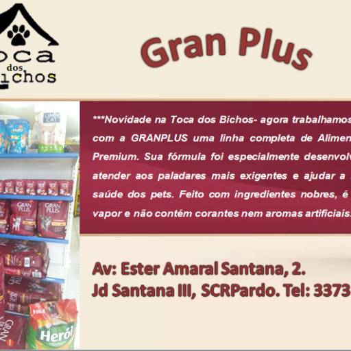 Comprar o produto de Gran Plus em Outros pela empresa Toca dos Bichos Petshop em Santa Cruz do Rio Pardo, SP por Solutudo