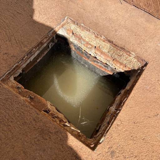 LD DESENTUPIDORA por Solutudo