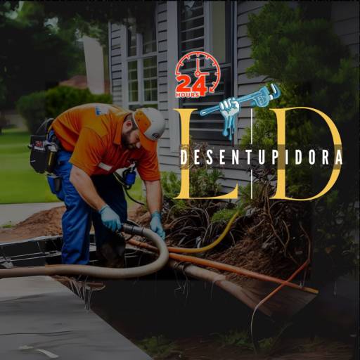 LD DESENTUPIDORA por Solutudo