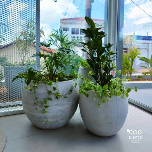 Ambientação com vasos