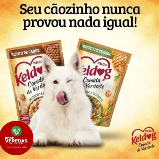Sachê Keldog Risoto Carne 100g por DROGARIA REDE VEREDAS - FARMÁCIA EM DIVINÓPOLIS