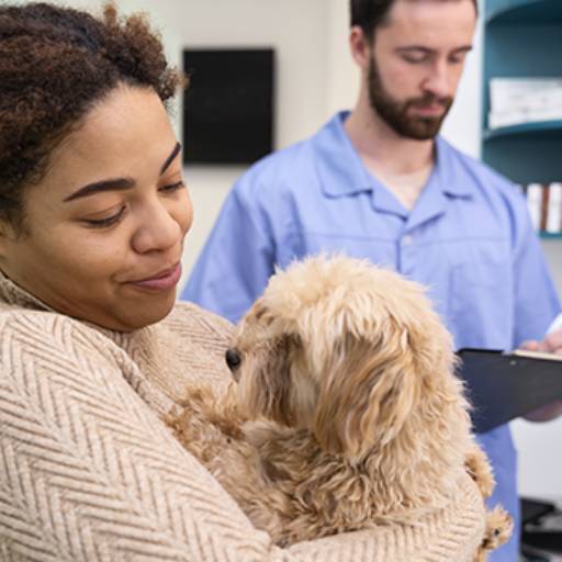 Internação Veterinária em Americana 