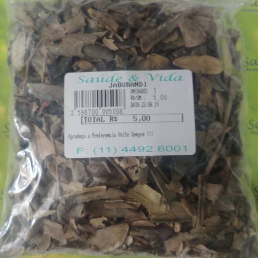 Jaborandi por Saúde e Vida