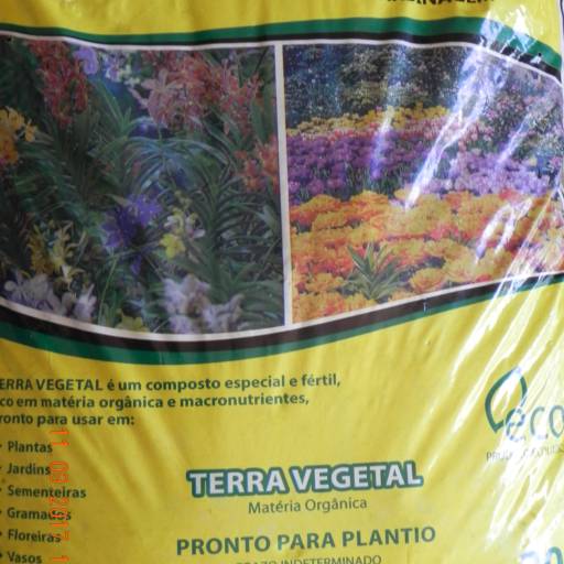 TERRA VEGETAL 