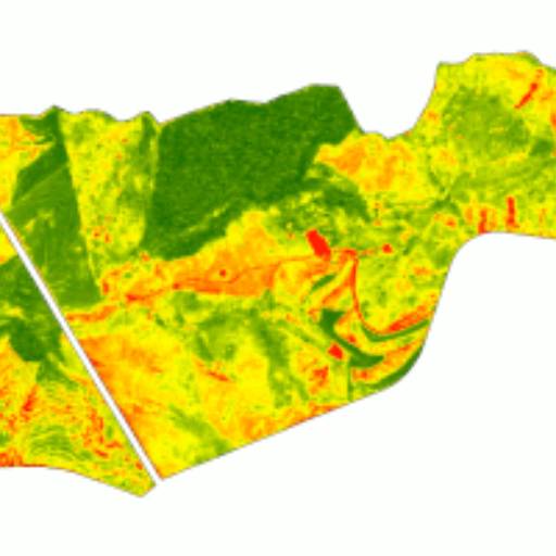 Análises temporais em Botucatu, SP por Spectrum Inteligência Agro Florestal