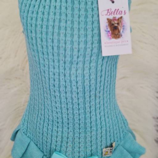 Vestido Princesa Verde Água em Jundiaí, SP por Bella's boutique Pet	