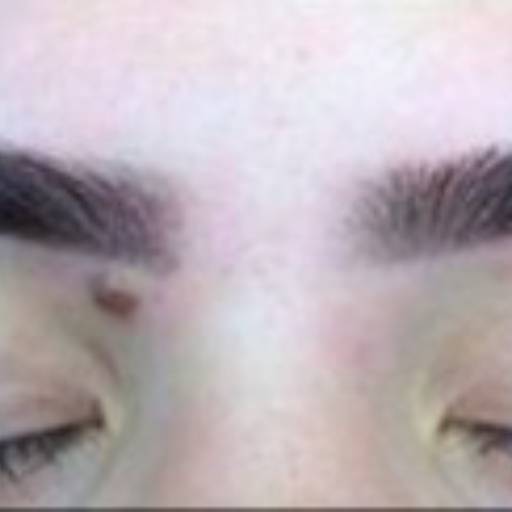 Micropigmentação de Sobrancelha em Bauru – Design Perfeito e Natural para Todos os Dias por Vie de Luxe