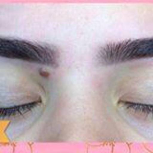 Micropigmentação de Sobrancelha em Bauru – Design Perfeito e Natural para Todos os Dias por Vie de Luxe