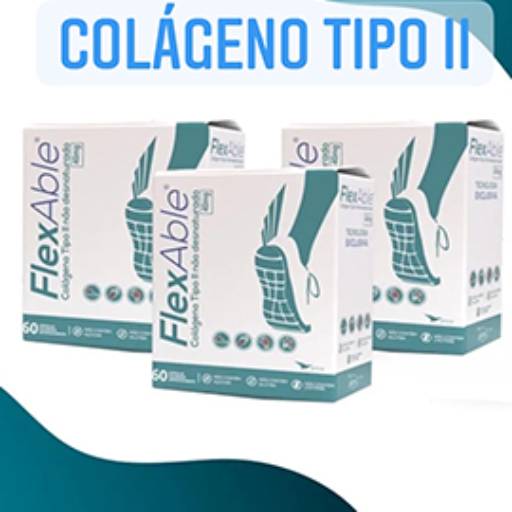 Colágeno Tipo II