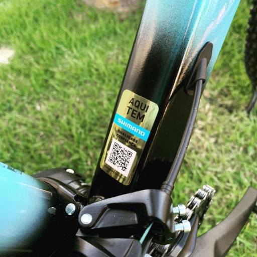 BICICLETAS PARA INICIANTES E PARA COMPETIDORES