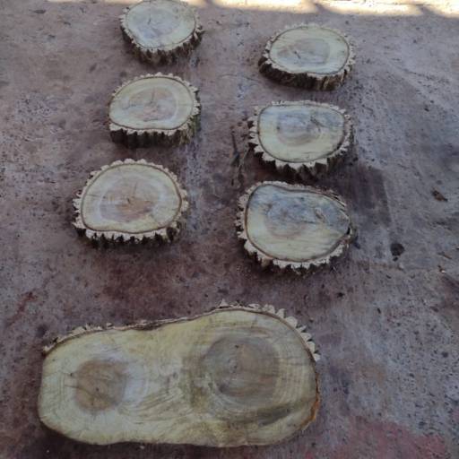 Produtos de madeira de demolição  em Botucatu, SP por 3 Verde Jardinagem