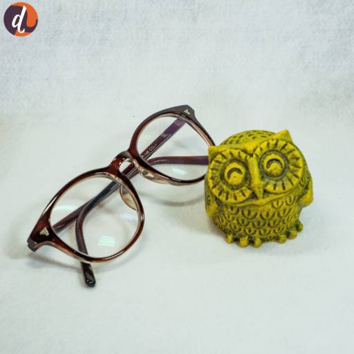 Coruja amarela em Assis, SP por Decorano Loja Decor