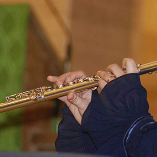 Curso de Flauta Transversal em Americana, SP por Só Música - Escola de Música