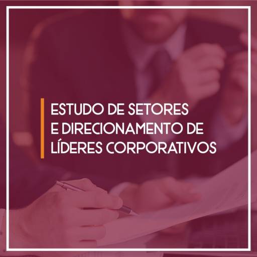 Estudos de Setores e Direcionamento de Líderes   Corporativos por Braseng Consultoria e Treinamentos
