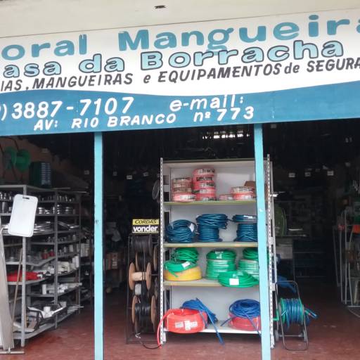 Comprar o produto de Fotos da empresa em Outros Serviços pela empresa Litoral Mangueiras em Caraguatatuba, SP por Solutudo