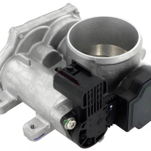 Corpo de borboleta em Atibaia, SP por Auto Peças Brasil