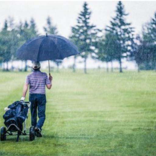 Guarda-chuva de golfe 99109 ROBERTO. em São José do Rio Preto, SP por Public Gráfica e Brindes