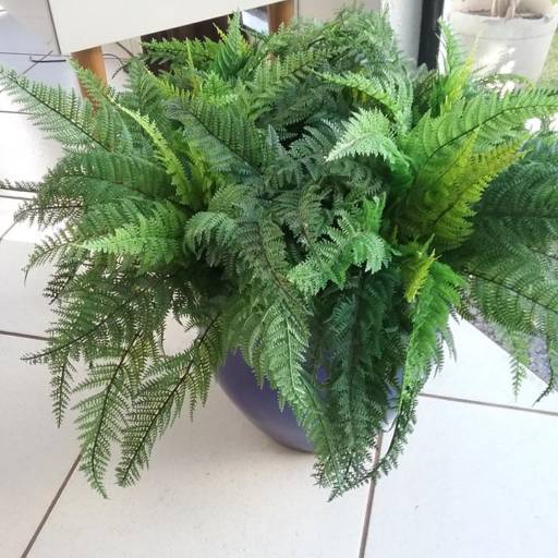 Móveis e Decorações por Movestil Moveis E Aparelhos Domesticos Ltda