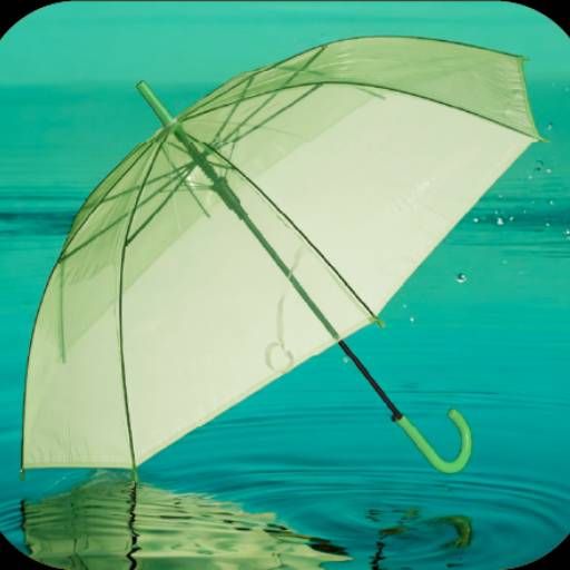 Guarda-Chuva Transparente