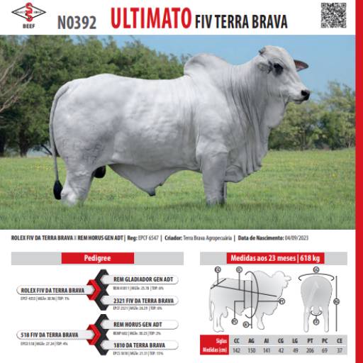 Touro Nelore Ultimato FIV Terra Brava (N0392)
