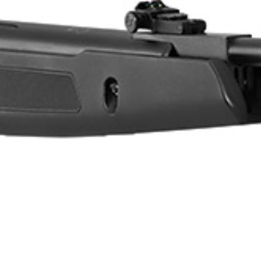 Carabina de Pressão - Diversas Marcas e Modelos por Bertinho Ravanhani Pesca e Camping