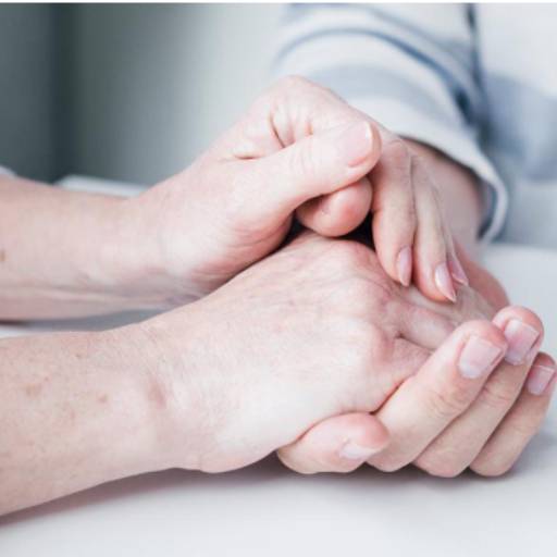 Assistência domiciliar