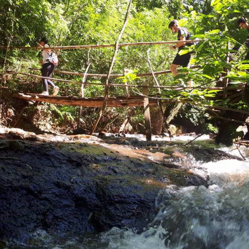 Meio período nas cachoeiras secretas de foz  parte da Manhã ou tarde (preço promocional para locais) por Iguassu Secret Falls