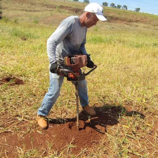 Plantio de Árvores Nativas – Souza Jardinagem em Santa Cruz do Rio Pardo