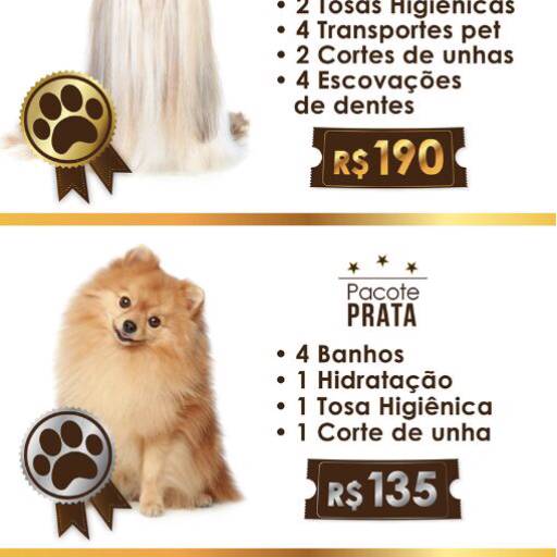 Pacotes De Banho E Tosa 