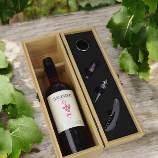 Kit Vinho com Utensílios
