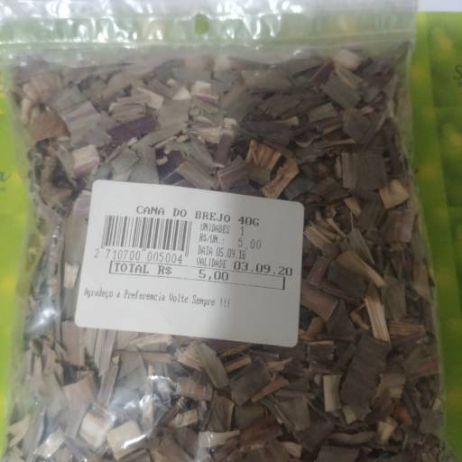 Cana do brejo por Saúde e Vida