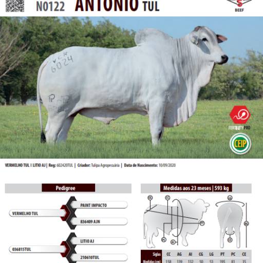 Touro Nelore CEIP Antonio TUL (N0122)